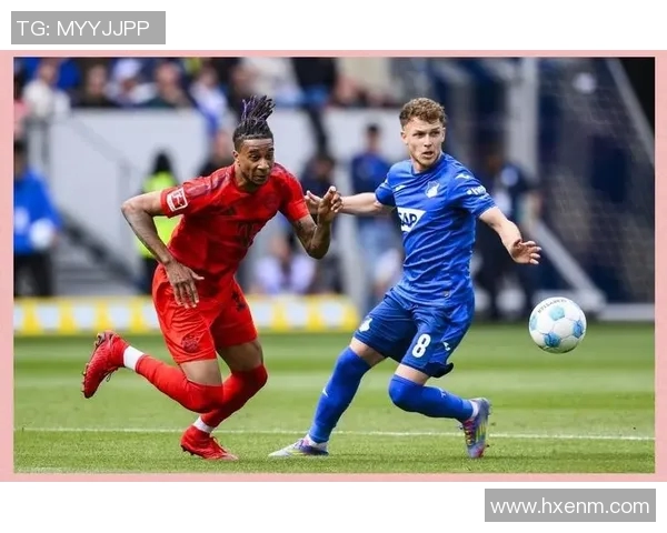霍芬海姆主场迎战菲尔特期待精彩对决与精彩进球