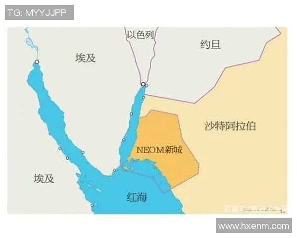 沙特与埃及贸易往来分析及其对双方经济盈亏的影响探讨