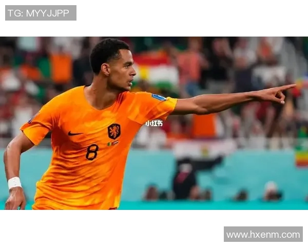 西班牙与挪威对决谁能在这场比赛中取得胜利分析与预测