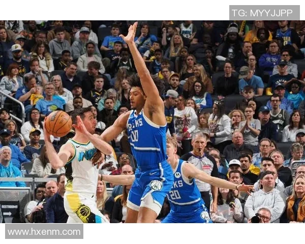 探秘dom篮球明星的成长之路与辉煌成就背后的故事