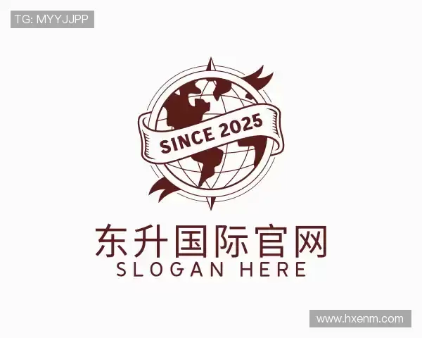 介绍东升国际官网